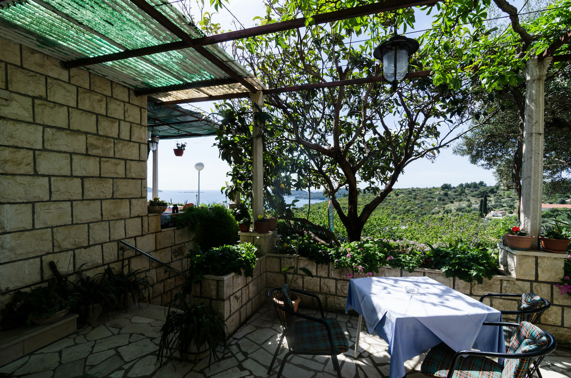 Guesthouse Moretic Orasac Exterior foto